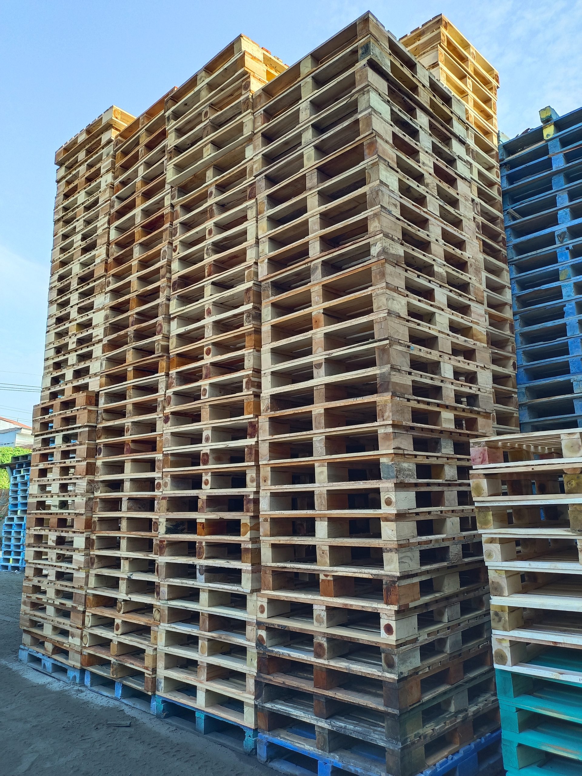 filter: 0; fileterIntensity: 0.0; filterMask: 0; captureOrientation: 90; module: photo; 
hw-remosaic: false; 
touch: (-1.0, -1.0); 
modeInfo: HDR ; 
sceneMode: 2; 
cct_value: 5500; 
AI_Scene: (6, 0); 
aec_lux: 168.0; 
aec_lux_index: 0; 
hist255: 0.0; 
hist252~255: 0.0; 
hist0~15: 0.0; 
albedo:  ; 
confidence:  ; 
motionLevel: 0; 
weatherinfo: null; 
temperature: 36;